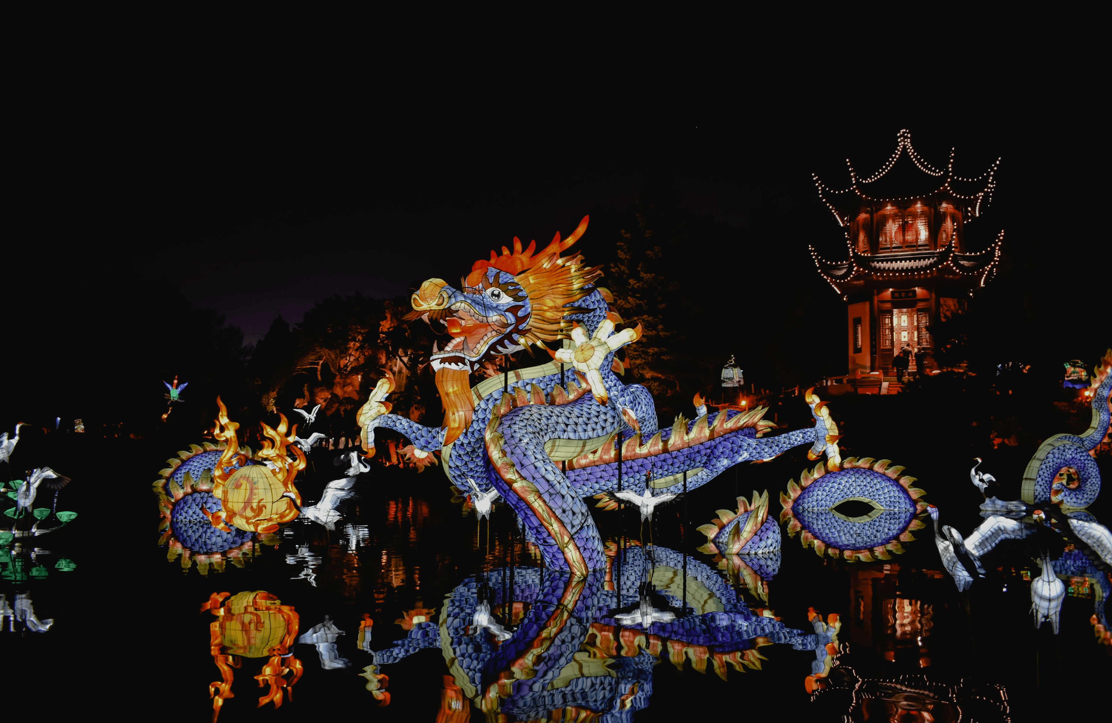cultural scene